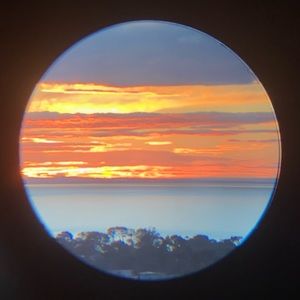 Meet your Posher, Georgie